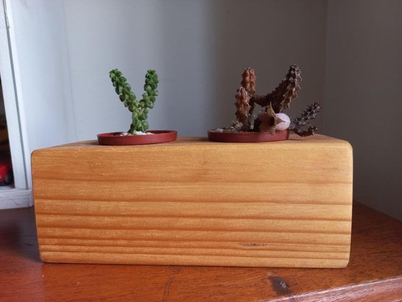 Michi pots. 2 holes.