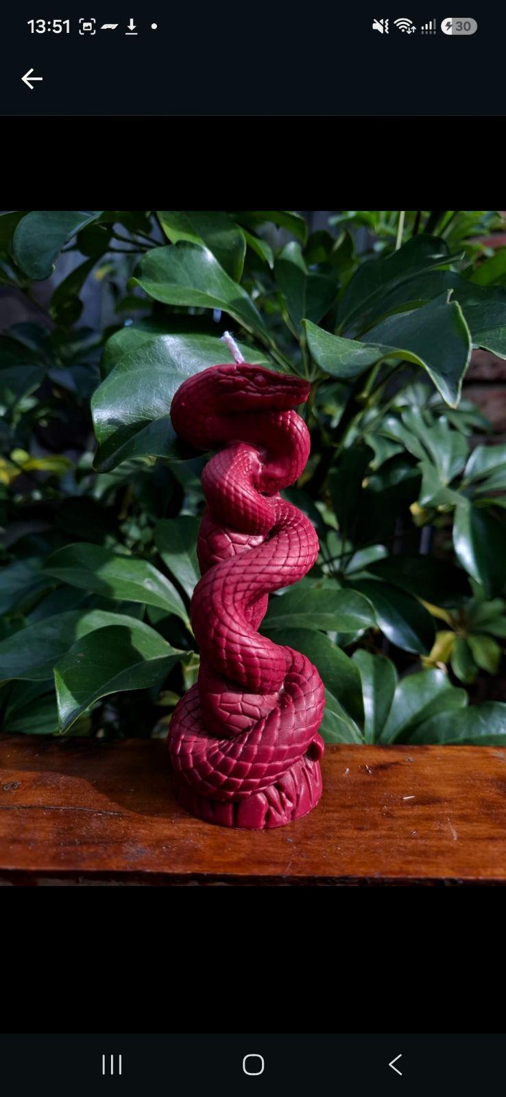 Serpent Candles